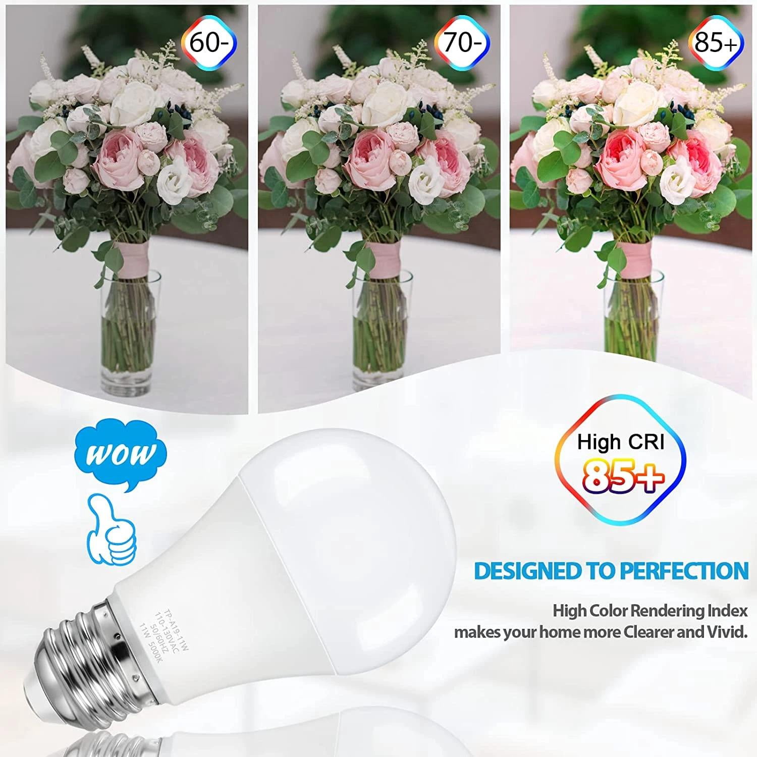 4-Pack A19 LED Light Bulbs, 100W Equivalent LED Bulb, 5000K 1100Lumen Light Bulb