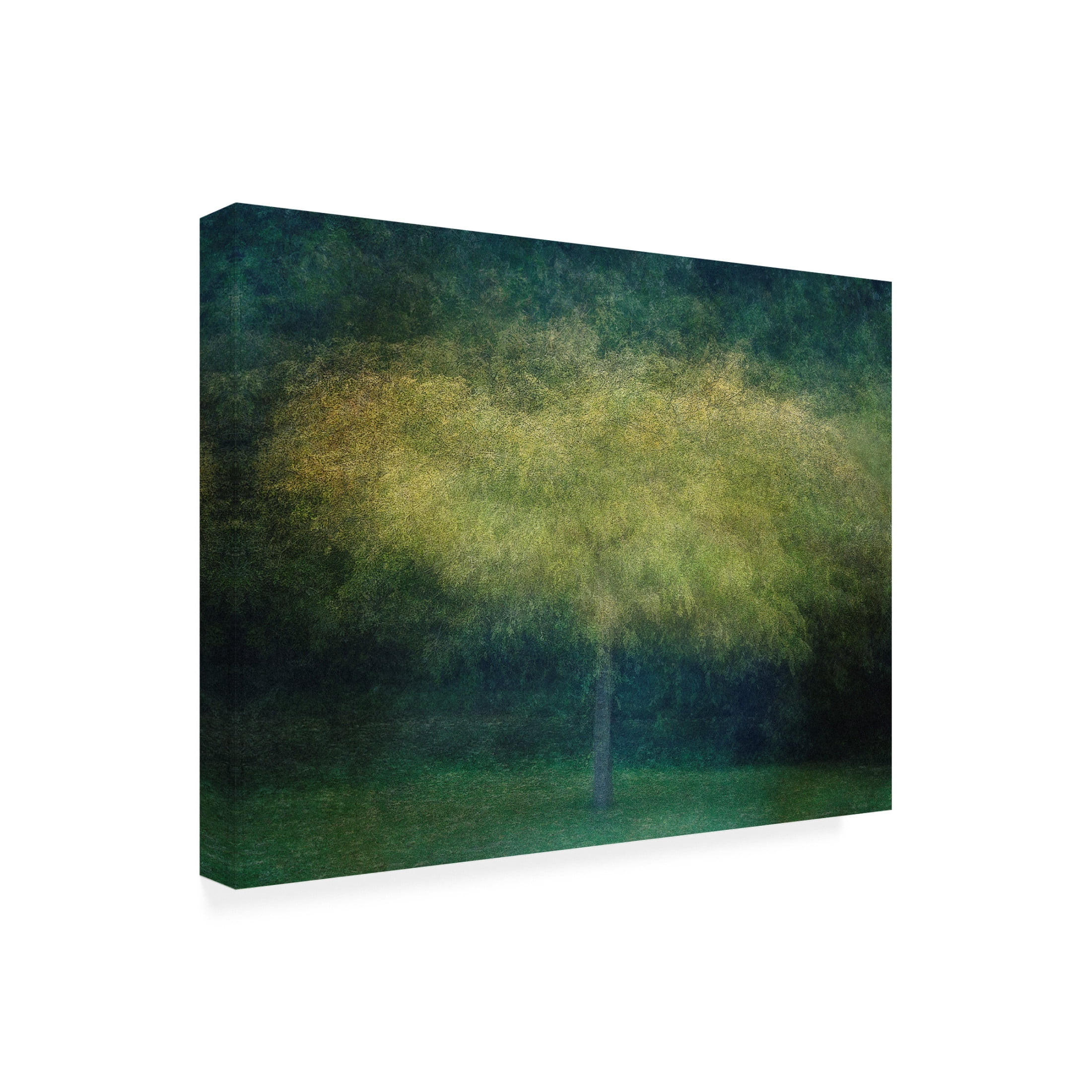 Canvas Wall Art - Nel Talen 'A Tree' Wall Art for Living Room, Bedroom, or Office Décor by Trademark Fine Art - 47 x 35 Inches