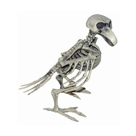 Skeleton Bird