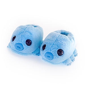 water bear stuffed animal