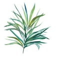 thumbnail image 2 of Robinson, Carol 12x12 White Modern Wood Framed Museum Art Print Titled - Palm Frond III, 2 of 4