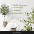 thumbnail image 5 of CAPHAUS Artificial Olive Tree, 5 / 6 / 7 Feet Fake Potted Topiary Tree with Dried Moss, Faux Olive Branch and Fruit, Faux Plant in Pot for Indoor Home Office Modern Decoration Gift for Housewarming, 5 of 9