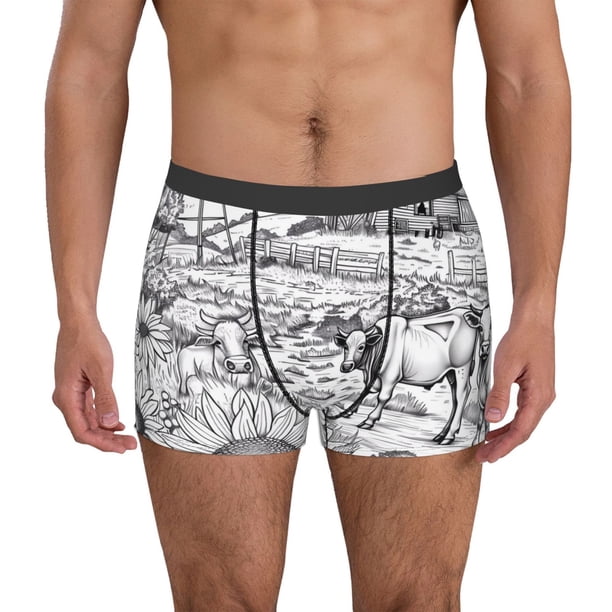 Fotbe Country Farm Scene Calzoncillos Tipo Boxer con Bolsa de Soporte Total para Hombre, X-Temp Fresco, Transpirable y de Secado Rápido-Medium