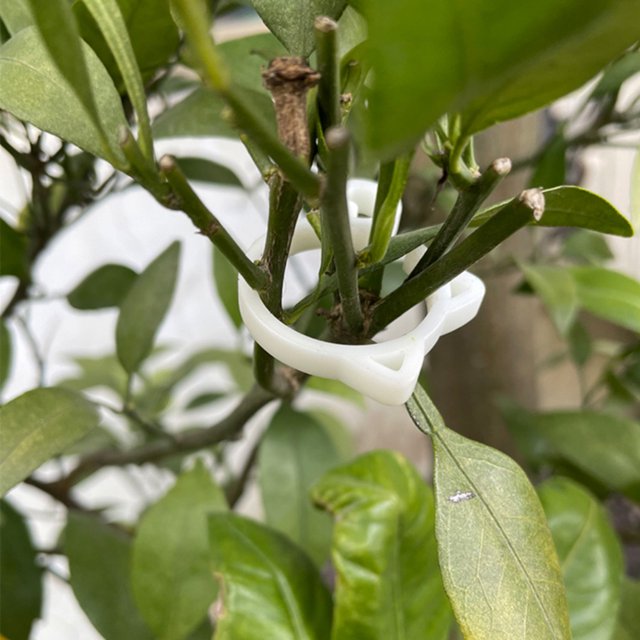 Clips para enrejado de plantas, Clips para plantas Clips para jardín en forma de gato Clips para plantas Resultados impresionantes