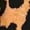 Yellow, variant on Katigan Women'S Leopard Print Wide Leg Pants Elastic Waist Casual Loose Fit Trousers Fashion Lounge S