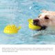 thumbnail image 5 of Juguete flotante para perros Juguetes con rociador de agua para cachorros Con forma de coco Abanopi Juguete del flotador del perro, 5 of 7