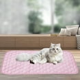 thumbnail image 5 of Waterproof Floor Mat Polyester Carpet Color:Pink Material:Cloth, 5 of 9