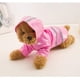 thumbnail image 4 of Impermeable para mascotas con capucha impermeable y chaqueta reflectante de cuero sintético para gatos (XL), 4 of 5