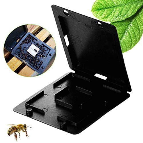 Case Beetle Collector Lid Insect Traps Catching Hive Beekeeping Tool Beehive Hot 
