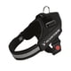 thumbnail image 3 of Premium No-Pull Dog & Cat Harness - Adjustable, Soft & Padded with Easy Control Handle, 3 of 5