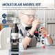 thumbnail image 4 of Molecular Model Kit, Organic Molecular Chemistry Set, Atom Element Model Kit for Lessons , Structure, 4 of 5