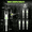 green-244, variant on Lighted Nocks for Arrows 6 Pcs, Imported High-Brightness Led Light. Up to 96+ Hours of Battery Life, Quality Replacement for Nockturnal Lighted Nocks.