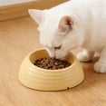 thumbnail image 2 of Bcylexb Solid Color Cat Bowls and Large-Diameter Dog Food Bowls, Anti-Tip, Easy-Clean, Neck-Support Pet Bowls for Puppies and Kittens, Yellow, 2 of 6