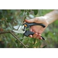 thumbnail image 3 of Fiskars Stainless Steel Pruner, 3 of 3