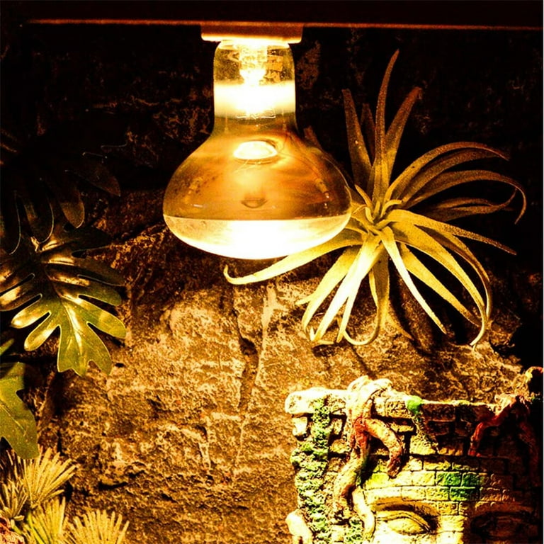 Uva uvb bulb for bearded clearance dragons