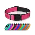 thumbnail image 1 of Reflective And Breathable Nylon Dog Collar, 1 of 4