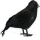 thumbnail image 4 of 1-6 uds. De cuervos de Halloween, ave artificial, juguetes, cuervos, accesorios de decoración de disfraces, cebo de cuervo con plumas negras, 4 of 5