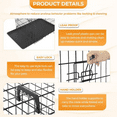 thumbnail image 2 of BORGEBY 30 Inch Dog Crate Kennel, Double-Door Folding Metal Dog Cage for Outdoor and Indoor, Portable with Plastic Leak-Proof Pan Tray，Black, 2 of 7