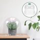 thumbnail image 3 of Cúpula de plantas de jardín con cubierta protectora de plantas reutilizable ligera Cúpula de plantas de jardín transparente, 3 of 6