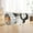 Oxford Cloth, variant on DOLITY Cat Tunnel Toy Foldable Tube Rug Sleeping Play s for Kitten Rabbits Oxford Cloth