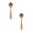Rose Gold#2PCS, variant on Shiogb Shell Shaped Stainless Sugar Spoon (2pcs), Small Spoons for Dessert Tiny Jelly Spoon, Tea Spoons Stirring Spoons for Jam Dishwasher Safe, Black