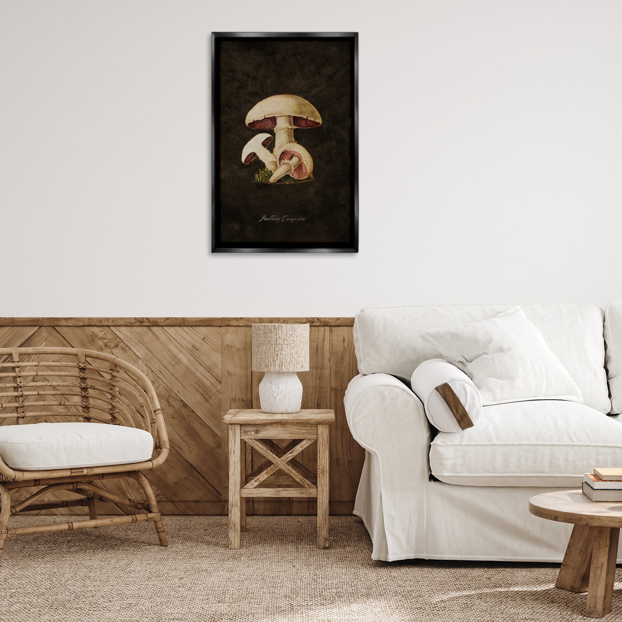 Stupell Industries Vintage Portobello Mushroom Plants & Flowers Painting Black Floater Framed Canvas Art Print Wall Art, 21 x 31
