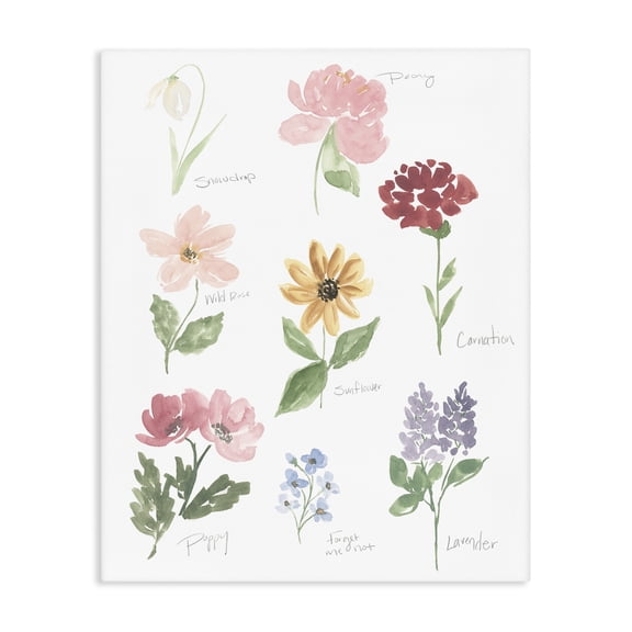 Stupell Industries Labeled Flower Varieties Canvas Wall Art, design by Lucille Price