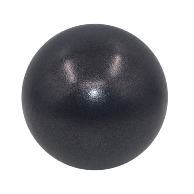 Dadatutu Pilates Ball Small Exercise Ball, 9.8 Inch Mini Soft Yoga Ball, Workout Ball for Stability Exercise, Training Gym Anti Burst and Slip Resistant Balls