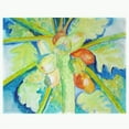 thumbnail image 1 of Betsy Drake PM1100 Big Cocoa Nuts Place Mat - Set of 4, 1 of 1