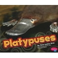 thumbnail image 1 of Pre-Owned Platypuses (Pebble Plus: Australian Animals) (Paperback) 1429638702 9781429638708, 1 of 1