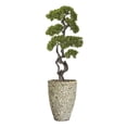 thumbnail image 1 of Artificial Faux Bonsai Tree 62" Fake Plant with Planter, 1 of 3