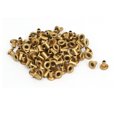 thumbnail image 1 of 100pcs M2x3.5mm Unique Bargains latón plateado metal ojales huecos remaches oro tono, 1 of 3