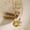 G3107293, variant on NICKSUN Gold Necklace for Women,14K Gold Plated Shell Starfish Beach Necklaces Cute Boho Pendant Necklace Fashion Summer Waterproof Pearl Jewelry for Women