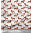 thumbnail image 1 of Soimoi Cotton Voile Fabric Hat & Dachshund Dog Print Sewing Fabric Yard 42 Inch Wide, 1 of 1