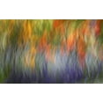 thumbnail image 2 of Anon, Ellen 18x13 White Modern Wood Framed Museum Art Print Titled - Canada Abstract blur of garden colors, 2 of 4