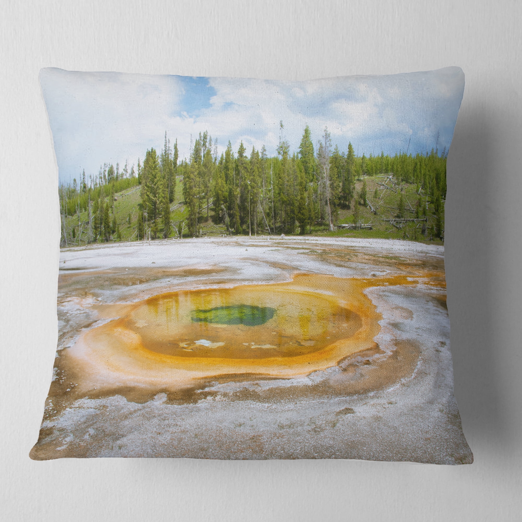 Designart Chromatic Morning Glory Pool - Landscape Photography Throw Pillow - 18x18