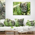 thumbnail image 4 of Designart Lovely Kitten in Grass - Animal Throw Pillow - 12x20, 4 of 5