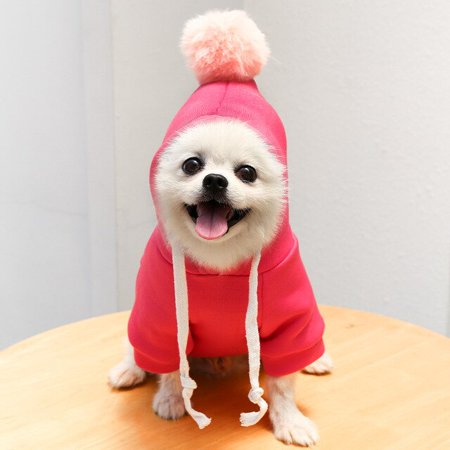 Puppy Cat Costume Coat for French Chihuahua Jacket Suit