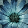 thumbnail image 3 of Villa, Mlli 15x15 Black Modern Framed Museum Art Print Titled - Uplifting Blue Flower Mate, 3 of 5