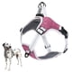 thumbnail image 1 of Correa reflectante ajustable para perro, chaleco antideslizante con cordón, 1 of 5
