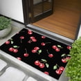 thumbnail image 5 of 2x3 Door Mat Rug, Cherry Rustic Non-Skid Rubber Backing Large Rectangle Rugs - Living Room Bedroom Home Office, Spring Summer Tropic Fruit Black Indoor Floor Mat Carpets Washable Rug, 5 of 9