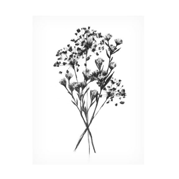 Emma Scarvey 'Wild Roadside Bouquet I' Canvas Art