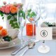 thumbnail image 2 of 16Pcs Durable Transparent Seat Clamps Simplicity Universal Advertising Clips for Restaurant Supermarket, 2 of 4