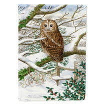 Carolines Treasures ASA2008GF Tawny Owl Flag Garden Size Small multicolor
