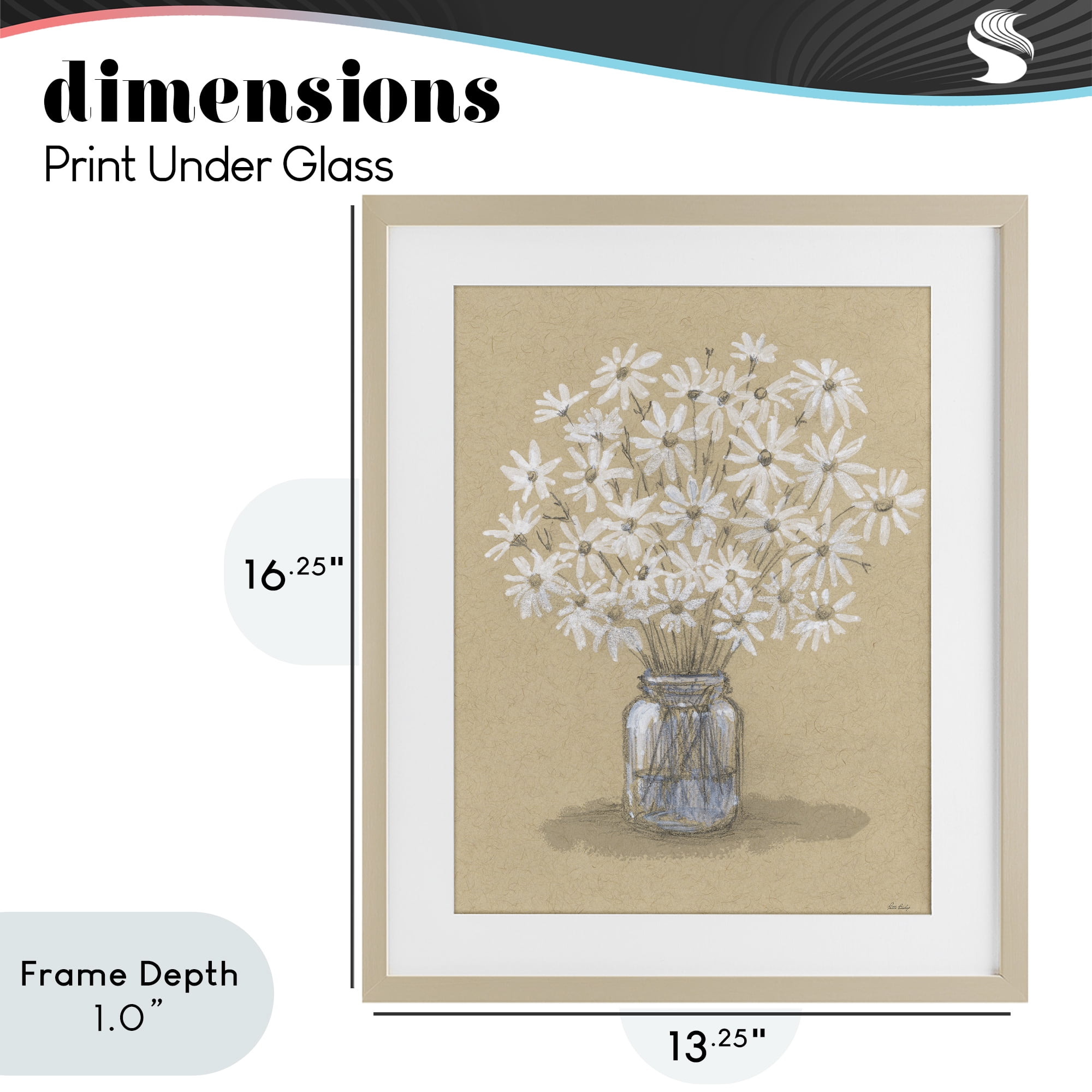 Stupell Industries Daisies Jar Drawing Birch Framed Print Under Glass, design by Patti Bishop