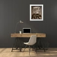 thumbnail image 3 of Bailey, Ann 26x32 White Modern Wood Framed Museum Art Print Titled - Dont Wake the Bear, 3 of 4