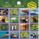 thumbnail image 5 of JUEGO DE MEMORIA DE ANIMALES FLINK 60 CARTAS Flink cartas, 5 of 5