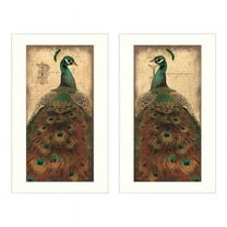 Peacock Collection By John Jones Printed Wall Art Wood Multi-Color