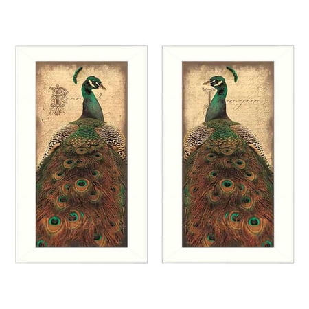 Peacock Collection By John Jones Printed Wall Art Wood Multi-Color