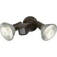 thumbnail image 2 of 2 Light - 10" - Flood Light, Exterior - PAR38 w/Adjustable Swivel, 2 of 19